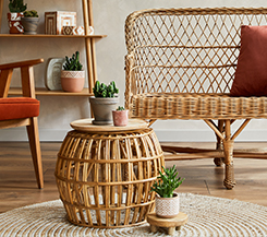 Elegant Living Room Furniture